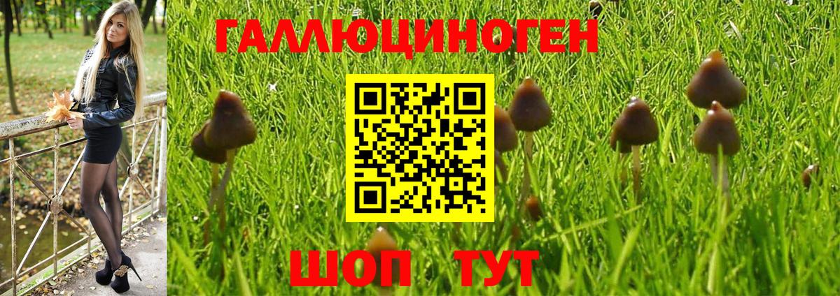 Новочебоксарск  Псилоцибиновые грибы MAGIC MUSHROOMS  Вход с VPN 